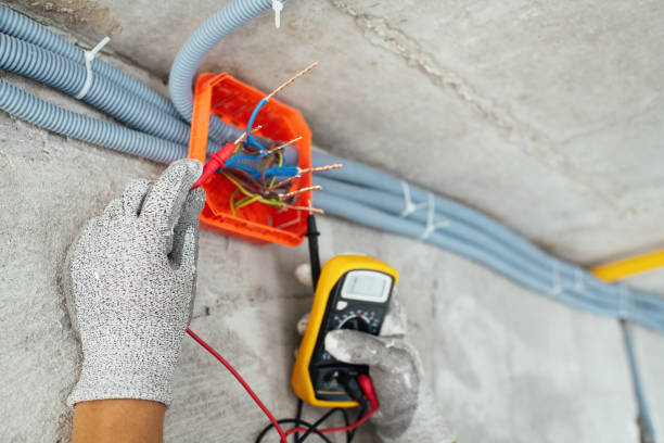 Best Generator Installation Services  in Lillian, AL